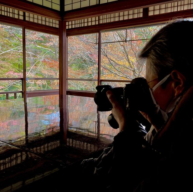 紅葉貴必訪景點 - 京都瑠璃光院