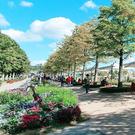 Suncheon Bay National Garden 💐🪷🪻🌾