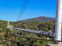 【大分県】天空の散歩道:九重"夢"大吊橋