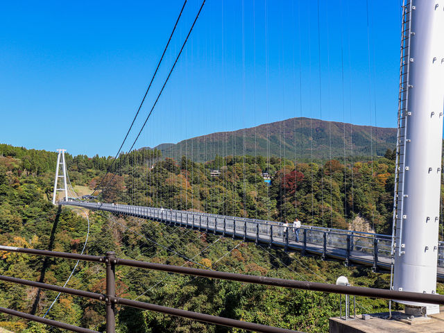 【大分県】天空の散歩道:九重"夢"大吊橋