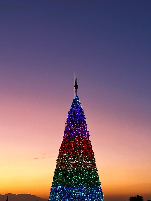 香港｜西九龍的海邊聖誕樹🎄與日落有點搭