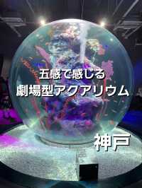 新感覚の都市型水族館☆アトア神戸