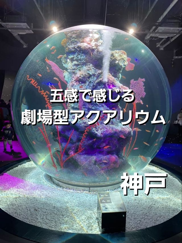新感覚の都市型水族館☆アトア神戸