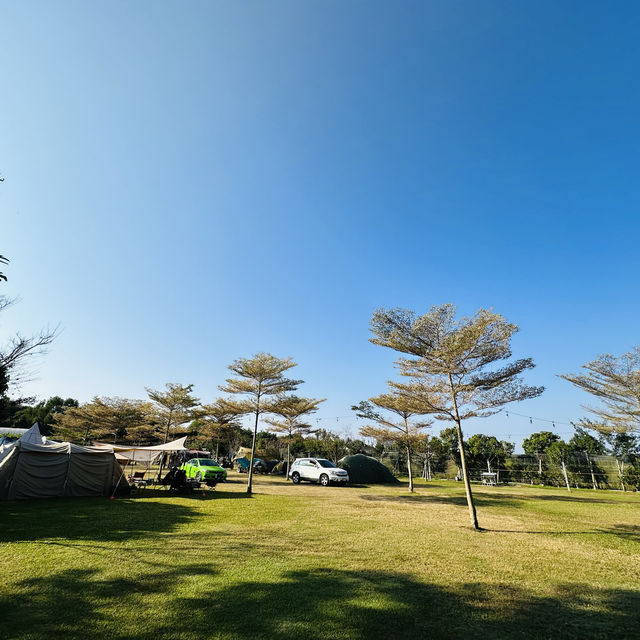 卓蘭山林野地露營區