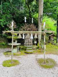 【島根県/神魂神社】2023年行ってよかった！島根県の神社④