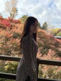 🇯🇵京都紅葉🍁東福寺🍁超美😍
