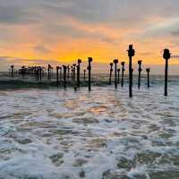 God's own country -Alleppy Kerala 