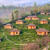 Serene Splendor: Chasa RakThai Retreat