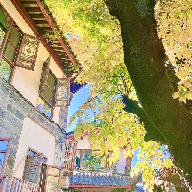 金燦燦的麗江古城