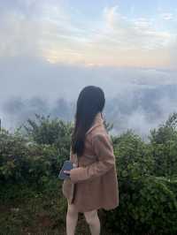 นักผจญภัยตัวน้อย💕🌳