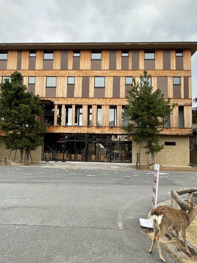 【奈良県】2023年泊まってよかった「セトレならまち」