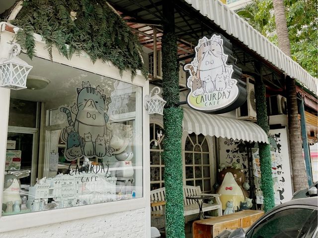Caturday Cat Cafe