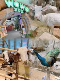 深圳商場好去處| 港人優惠玩足一整天