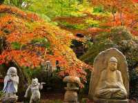 Eigen Temple.(Autumn maple leaves temple.)