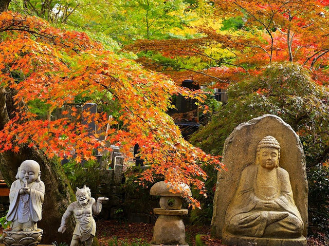 Eigen Temple.(Autumn maple leaves temple.)