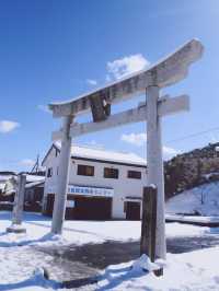 🇯🇵日本鳥取白兔神社🐰👣來到鳥取必去的可愛神社⛩️