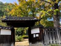 Jozan Yamadera’s Historic Residence 