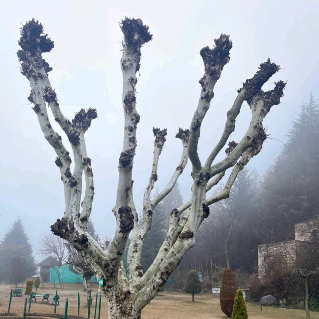 Pari Mahal Srinagar 