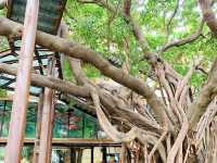 台南十鼓文創園區-文創園區