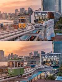 Dong Baek Cafe คาเฟ่วิวปังวิวรถไฟปุ๊กปิ๊กปูซาน🚟