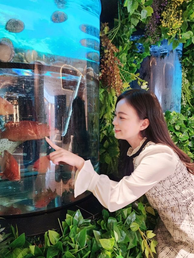 啟德| 高質精緻中菜館
