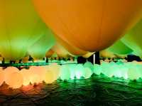 Amazing Lights
