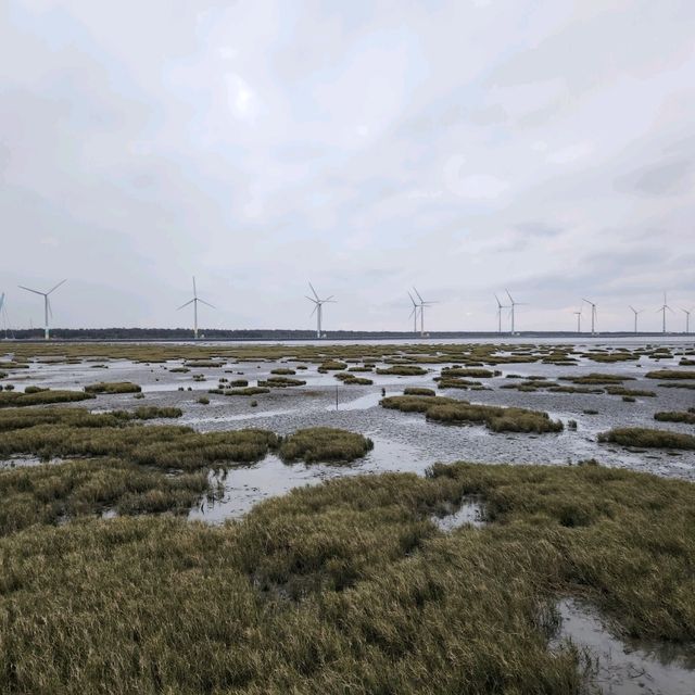 Gao Mei Wetlands in Taichung