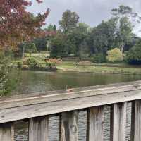 Puffing Billy Railway - Must in Melbourne 