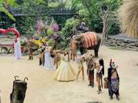 The Pattaya Elephant Village
