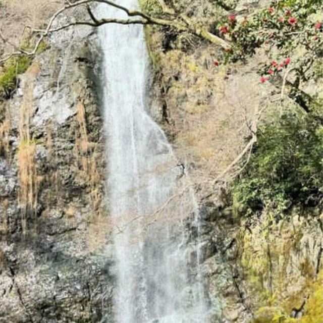 ❣️大阪❣️ 箕面大滝