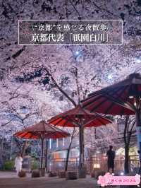 【京都×桜】京都市内無料で満喫No.1ライトアップスポット✨ ※撮影ポイントマップ付き