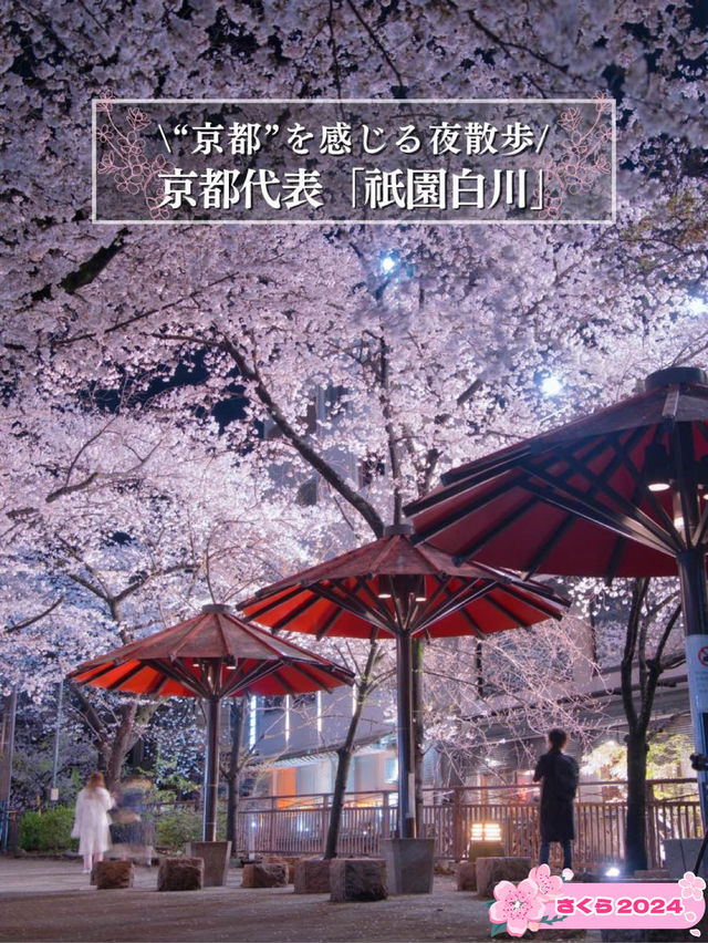 【京都×桜】京都市内無料で満喫No.1ライトアップスポット✨ ※撮影ポイントマップ付き