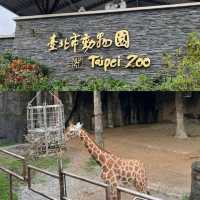 【臺北景點】臺北市立動物園：動物多樣、環境乾淨，適合教育、娛樂和探險