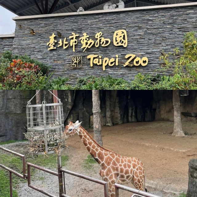 【臺北景點】臺北市立動物園：動物多樣、環境乾淨，適合教育、娛樂和探險