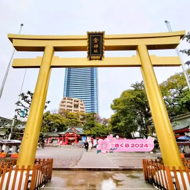 春の岐阜旅行🌸岐阜市『金神社』桜は咲き始め