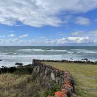 Exploring the Beauty of Aewol Coastal Road