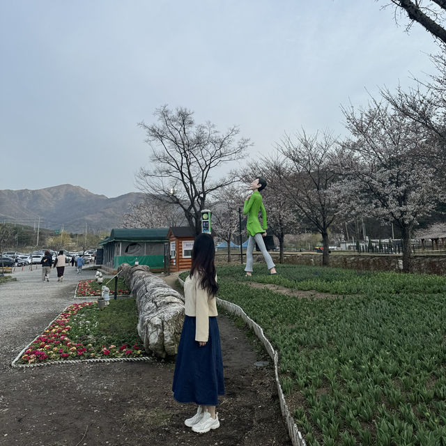 달성군 꽃놀이 하기 좋은 옥연지 송해공원 