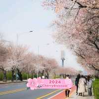 Yeouido Hangang Park in South Korea