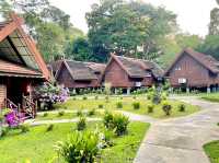 Taman Negara National Park