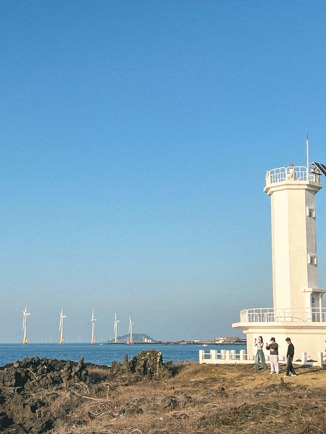 가장 이국적인 풍경을 가진 제주 해안도로🌊