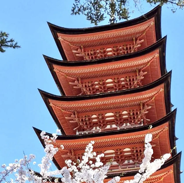 Mystical Serenity: exploring the floating Torii Gate! 🏯✨🌊