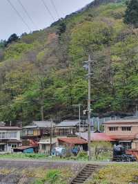 🌸🍃Narai Juku 🌸Japan
