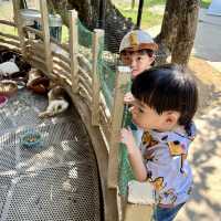 หล่อเลี้ยงฟาร์ม คาเฟ่ - Lhor Liang Farm!🐷