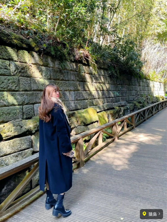 忙しい人の現実逃避スポット🌿都心から約1時半で行ける無人島🫣🏝🩵【猿島】