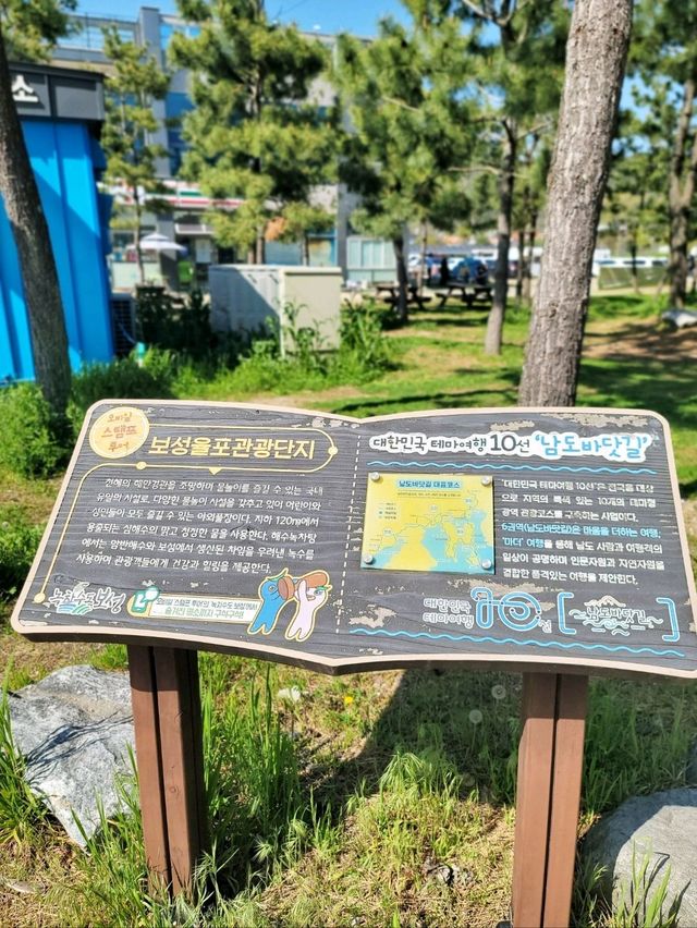 손하트 포토존과 바다보며 힐링하는 보성여행🩵