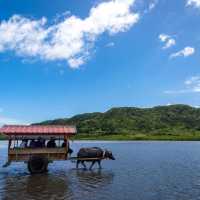 由布島 亞熱帶植物樂園