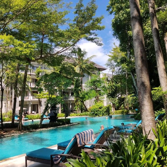 🌴 👙 A Haven For Families ⭐⭐