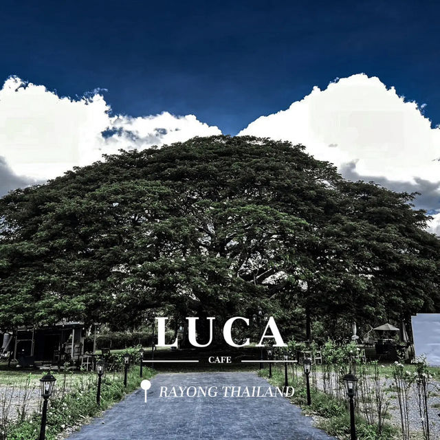 LUCA CAFE RAYONG