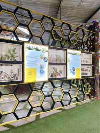 Buzzing with Fun: Exploring the Bee Farm and Insect World