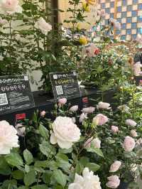 【島根　松江】庭園の中を歩ける
